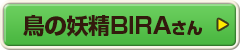 鳥の妖精BIRAさん