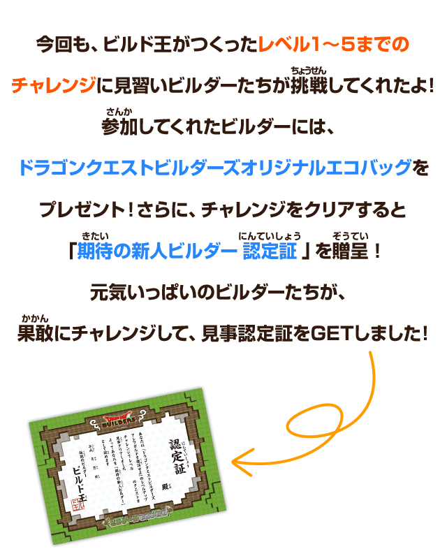 今回も、ビルド王がつくったレベル１～５までのチャレンジに見習いビルダーたちが挑戦してくれたよ！参加してくれたビルダーには、ドラゴンクエストビルダーズオリジナルエコバッグをプレゼント！さらに、チャレンジをクリアすると「期待の新人ビルダー認定証」を贈呈！元気いっぱいのビルダーたちが、果敢にチャレンジして、見事認定証をGETしました！