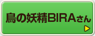 鳥の妖精BIRAさん