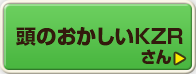 頭のおかしいKZRさん