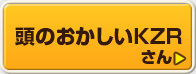 頭のおかしいKZRさん