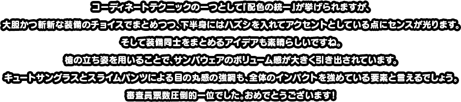 コーディネートテクニックの一つとして『配色の統一』が挙げられますが、大胆かつ斬新な装備のチョイスでまとめつつ、下半身にはハズシを入れてアクセントとしている点にセンスが光ります。そして装備同士をまとめるアイデアも素晴らしいですね。槍の立ち姿を用いることで、サンバウェアのボリューム感が大きく引き出されています。キュートサングラスとスライムパンツによる目の丸感の強調も、全体のインパクトを強めている要素と言えるでしょう。審査員票数圧倒的一位でした。おめでとうございます！