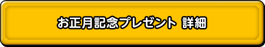 お正月記念プレゼント 詳細