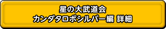 星の大武道会　カンダタロボシルバー編　詳細