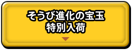 そうび進化の宝玉 特別入荷