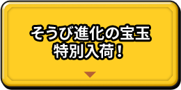 そうび進化の宝玉 特別入荷！