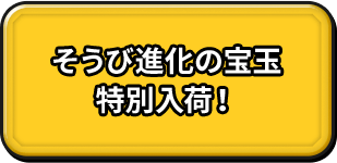 そうび進化の宝玉 特別入荷！