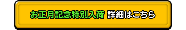 お正月記念特別入荷 詳細