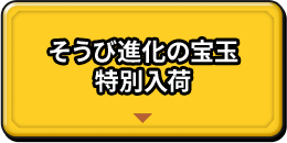 そうび進化の宝玉 特別入荷