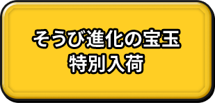 そうび進化の宝玉 特別入荷