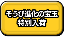 そうび進化の宝玉特別入荷