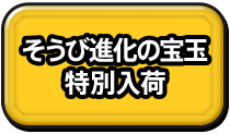 そうび進化の宝玉 特別入荷