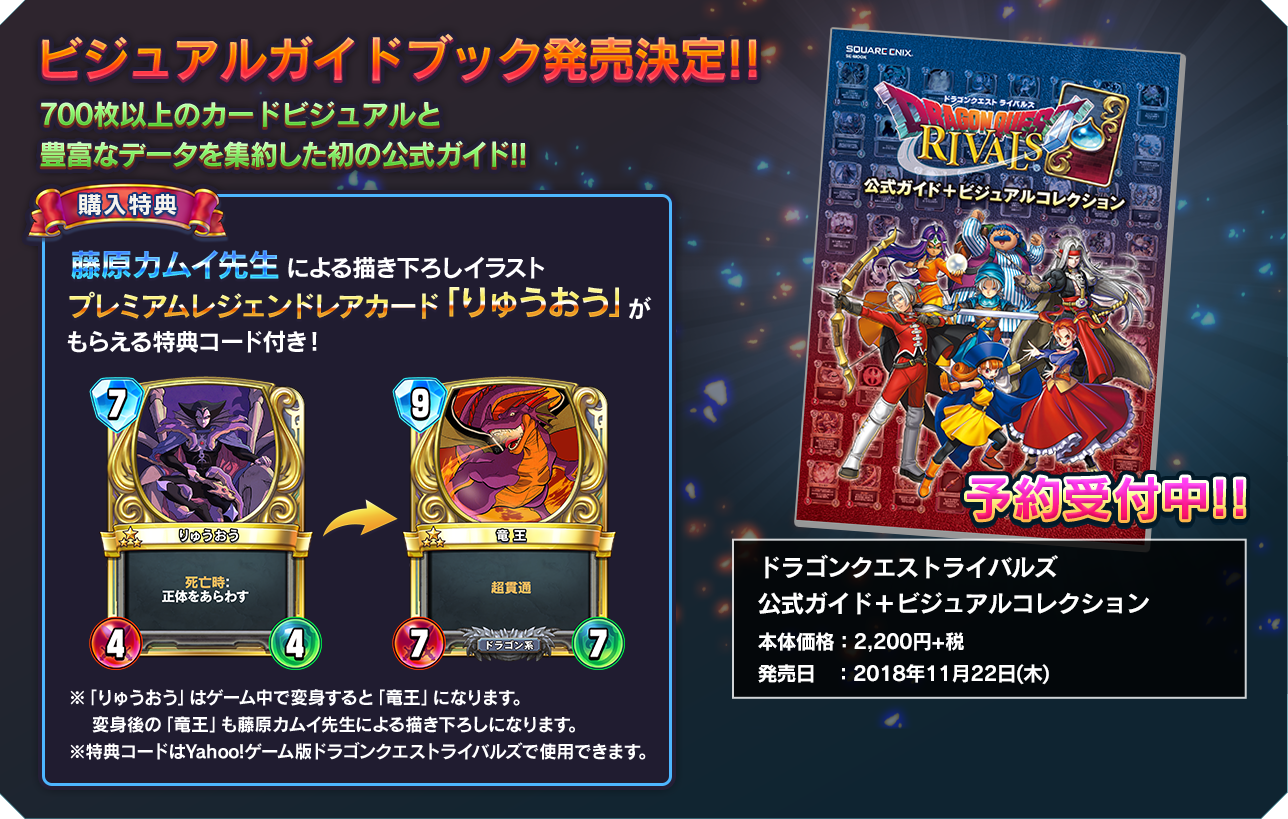 ビジュアルガイドブック発売決定!!