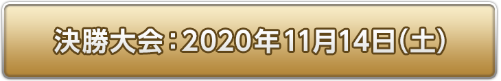 決勝大会：2020年11月14日(日)