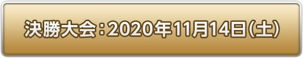 決勝大会：2020年11月14日(日)