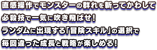 直感操作でモンスターの群れを斬ってかわして、必殺技で一気に吹き飛ばせ！ランダムに出現する「冒険スキル」の選択で、毎回違った成長と戦略が楽しめる。