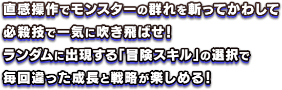 直感操作でモンスターの群れを斬ってかわして、必殺技で一気に吹き飛ばせ！ランダムに出現する「冒険スキル」の選択で、毎回違った成長と戦略が楽しめる。