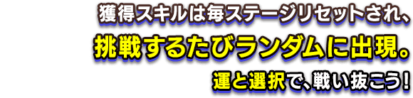 獲得スキルは毎ステージリセットされ、挑戦するたびランダムに出現。運と選択で、戦い抜こう！