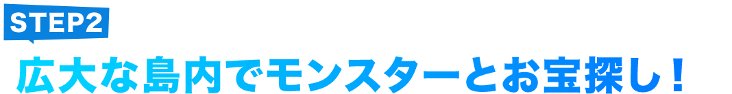 STEP2 旅広大な島内でモンスターとお宝探し！