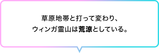 草原地帯と打って変わり、ウィンガ霊山は荒涼としている。