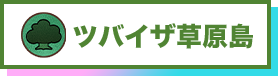 ツバイザ草原島