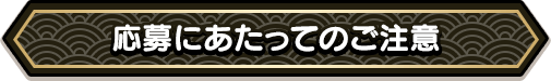 応募にあたってのご注意